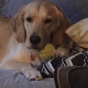 Meet your Posher, William angie